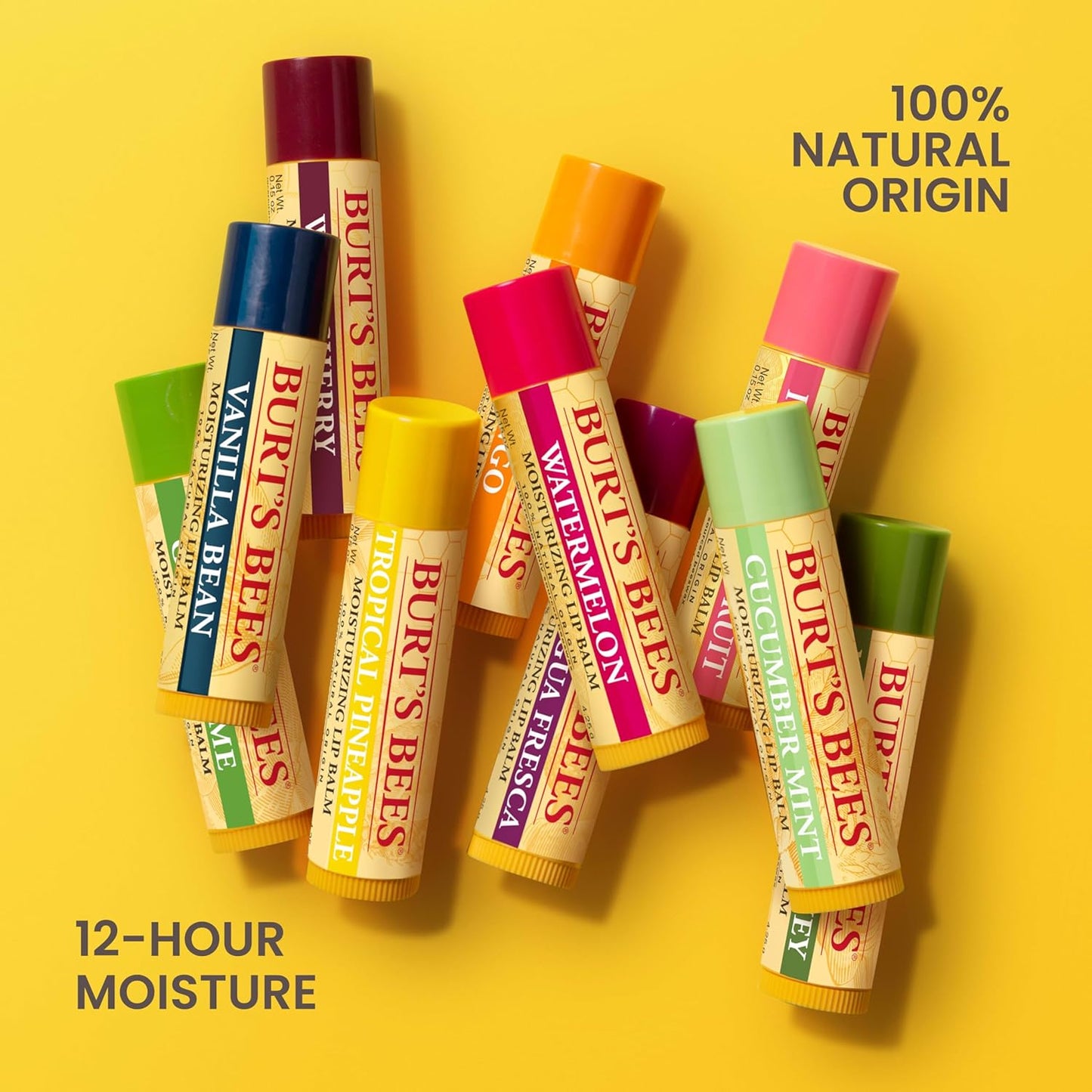 Burts Bees Pomegranate Moisturizing Lip Balm Twin Pack for Unisex - 2 x 0.15 oz