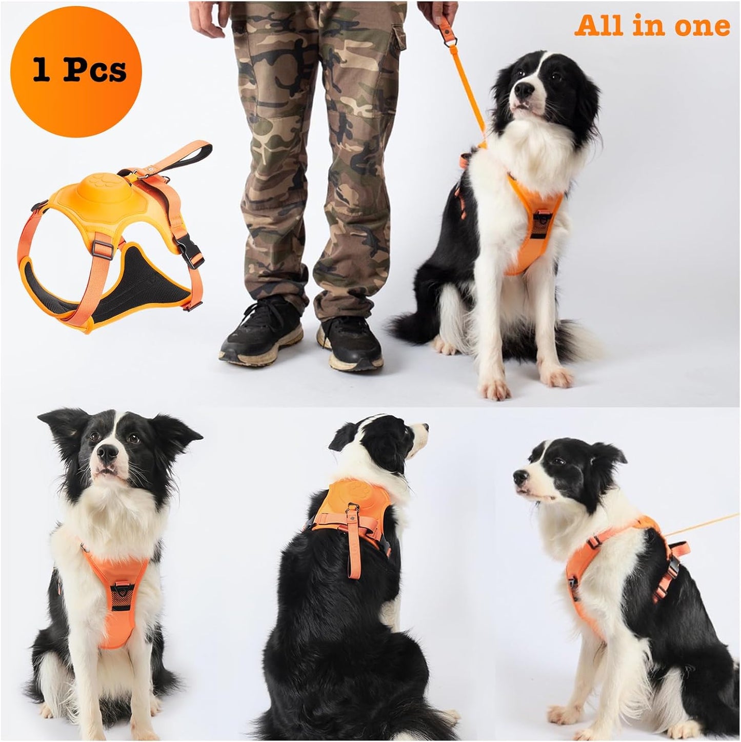 All in One Dog Harness and Leash, XL, Black
