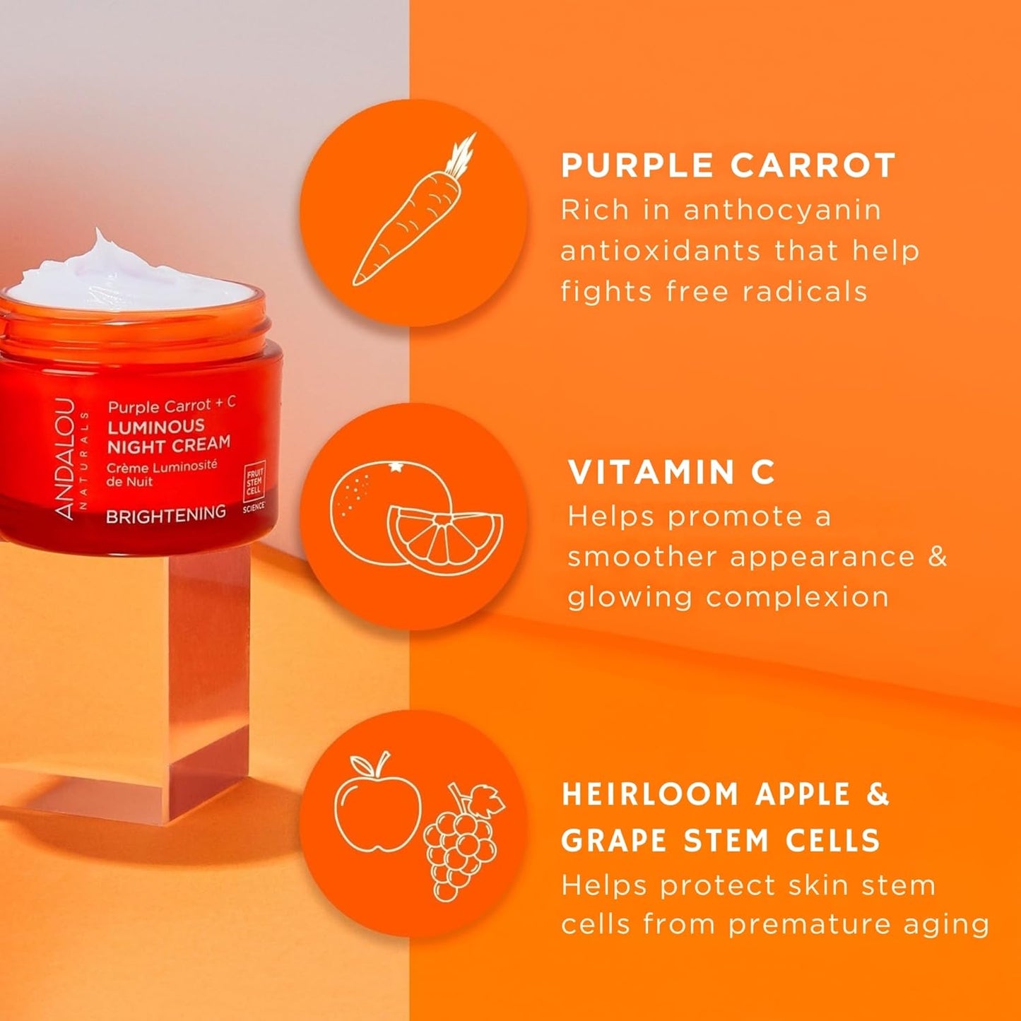 Andalou Naturals Purple Carrot+C Luminous Night Cream, 50 ml