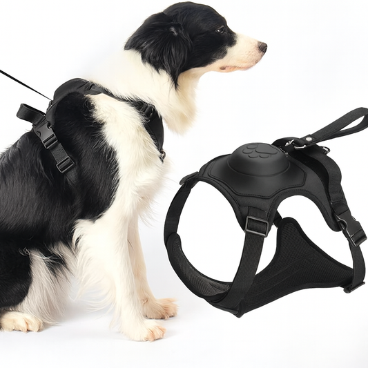 All in One Dog Harness and Leash, XL, Black 